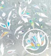 Rainbow window film