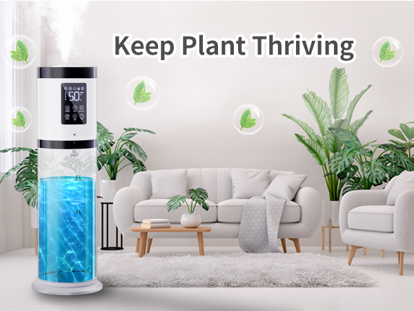humidifier for plants