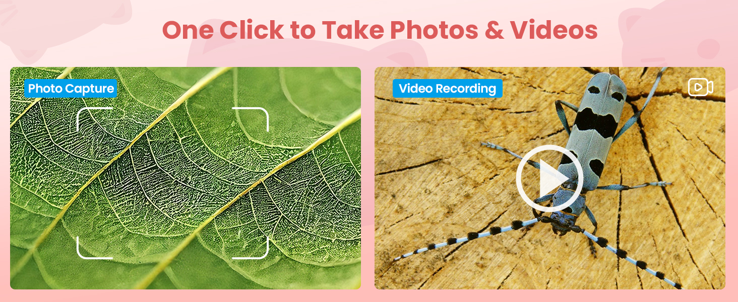 kids Microscope&Magnifying Glass