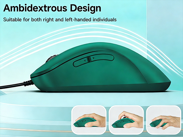 mouse