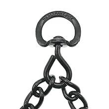 Swivel D-Ring