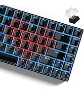 Womier Keycaps - Black Jelly Keycaps, Crystal Shine Through Custom Key caps Set 60% 75% 100% Perc...