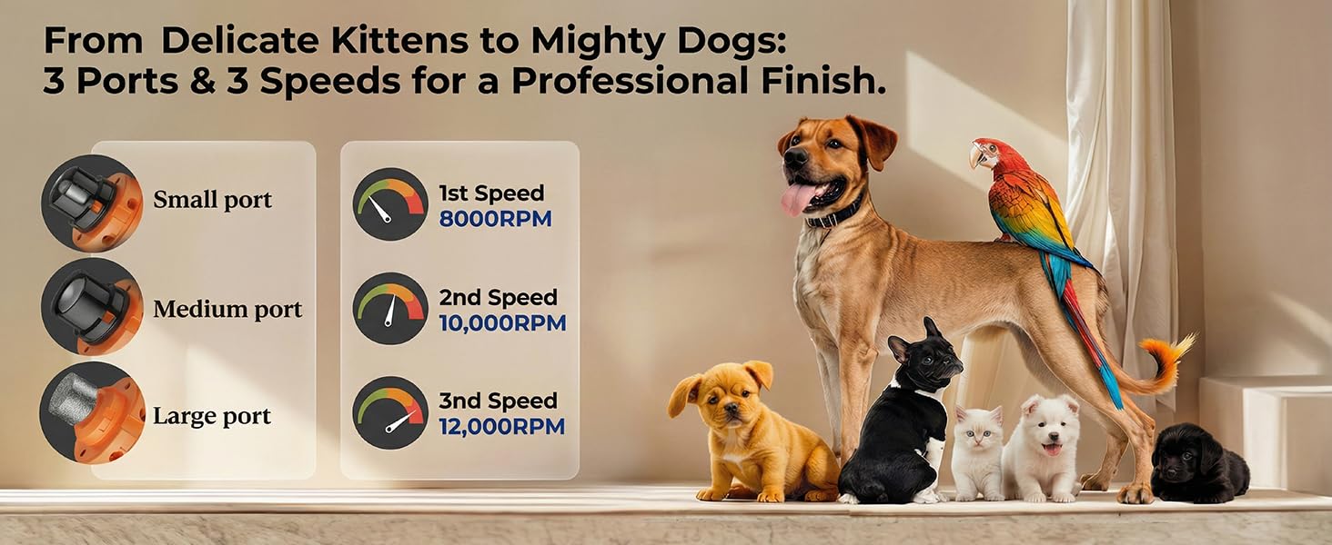 YABIFE pet nail grinder showing 3 ports and 3 speeds up to 12000 RPM for different pet breed sizes