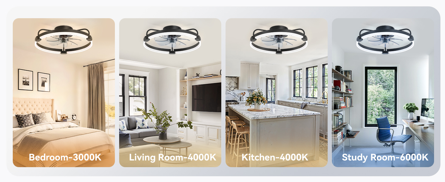 black ceiling fan
