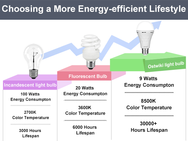 emergency light bulbs for power outage