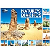 Gag Gifts - Funny 2026 Wall Calendar, 2026 Calendar with Thick Paper, 8.5" x 11" (Open), Jan. 202...