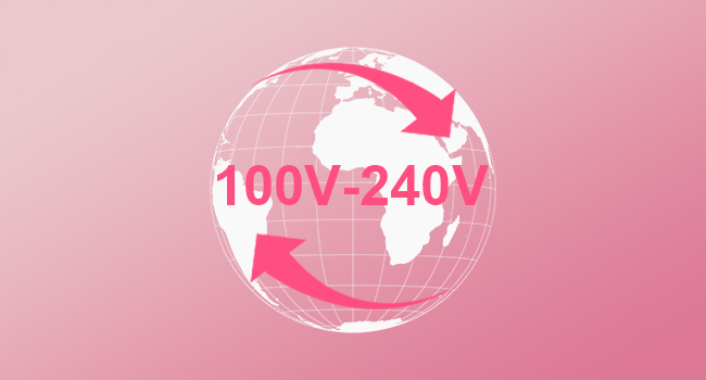 Dual voltage straightener for travel