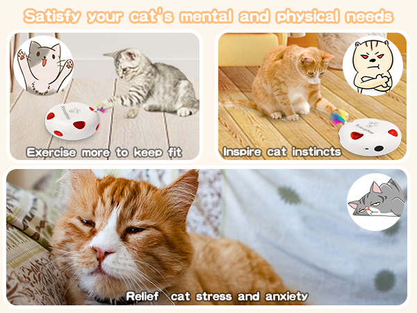 cat toys