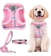 PUPTECK Adjustable Dog Harness Collar and Leash Set Step in No Pull Pet Harness for Small Medium ...