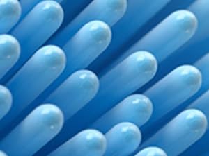 Up to 95% end-rounded bristles