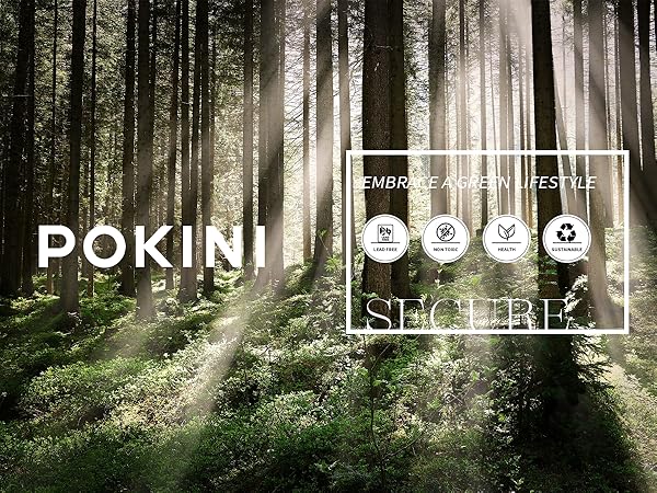 POKINI