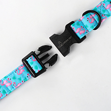 dog collar