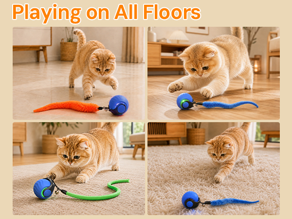 remote control cat toys for indoor cats
