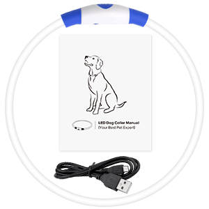Bseen light up dog collars