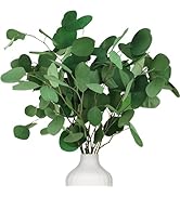 Preserved Dried Eucalyptus Stems, 7-10 Pcs pure Natural Real Silver Dollar Leaves for Vase Filler...