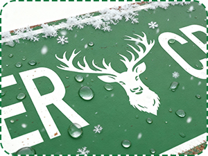 elf christmas decorations