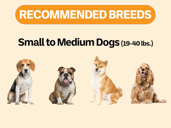 Recommended breeds for 1 cup slow feed bowl