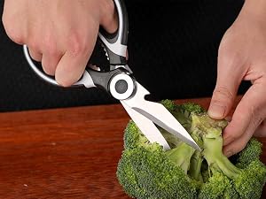 food scissors