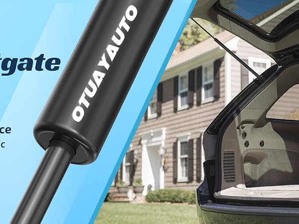 Rear Liftgate Struts