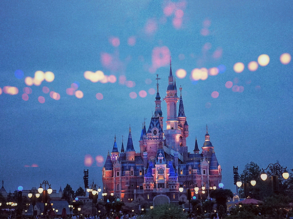 disney ponchos
