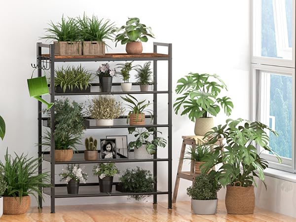 Shoe Shelf