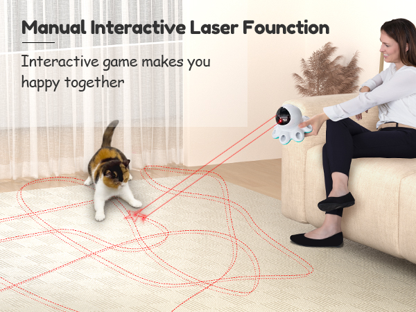 interactive cat toy