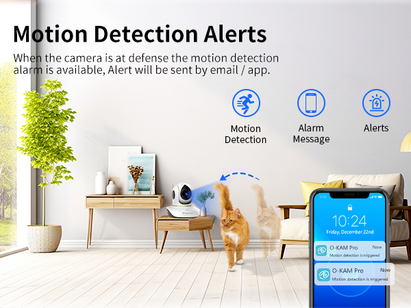 pet video camera