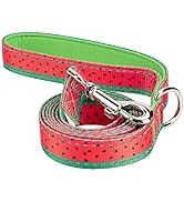 EcoBark Dog Leash - Soft & Reflective Comfort Leash with Padded Handle - Strong Durable Heavy Dut...