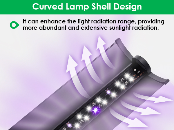 reptile light fixture