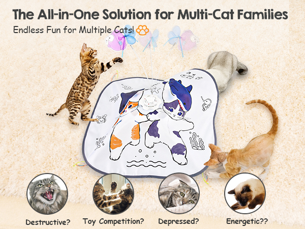cat toys