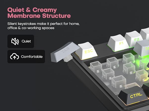 quiet keyboard
