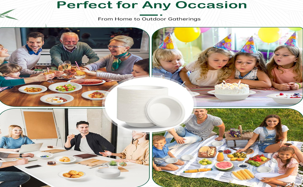 picnic disposable bowl