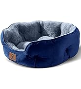 Asvin Small Dog Bed for Small Dogs, Cat Beds for Indoor Cats, Pet Bed for Puppy and Kitty, Extra ...