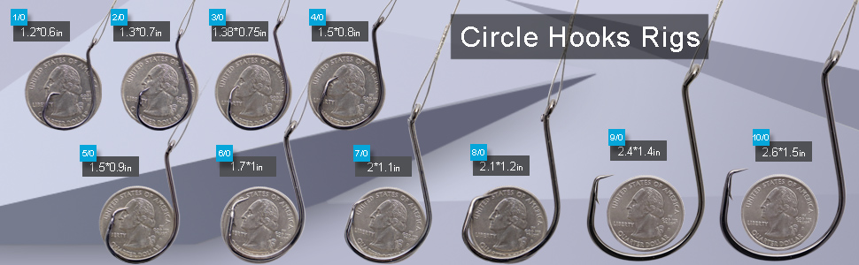 Circle Hooks Rigs