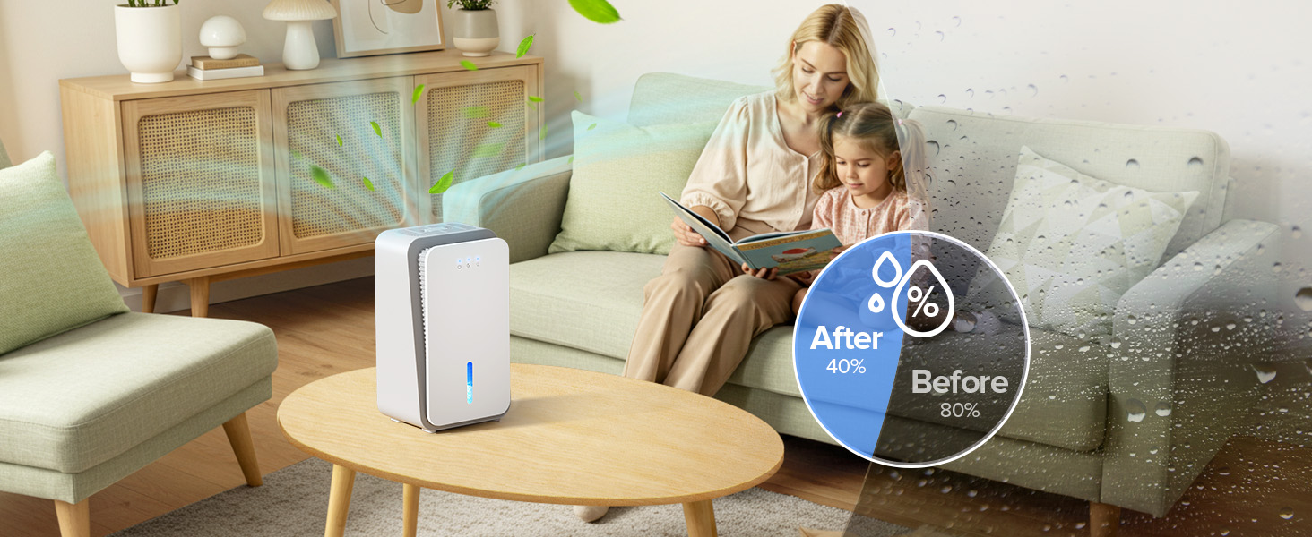 dehumidifier for basement