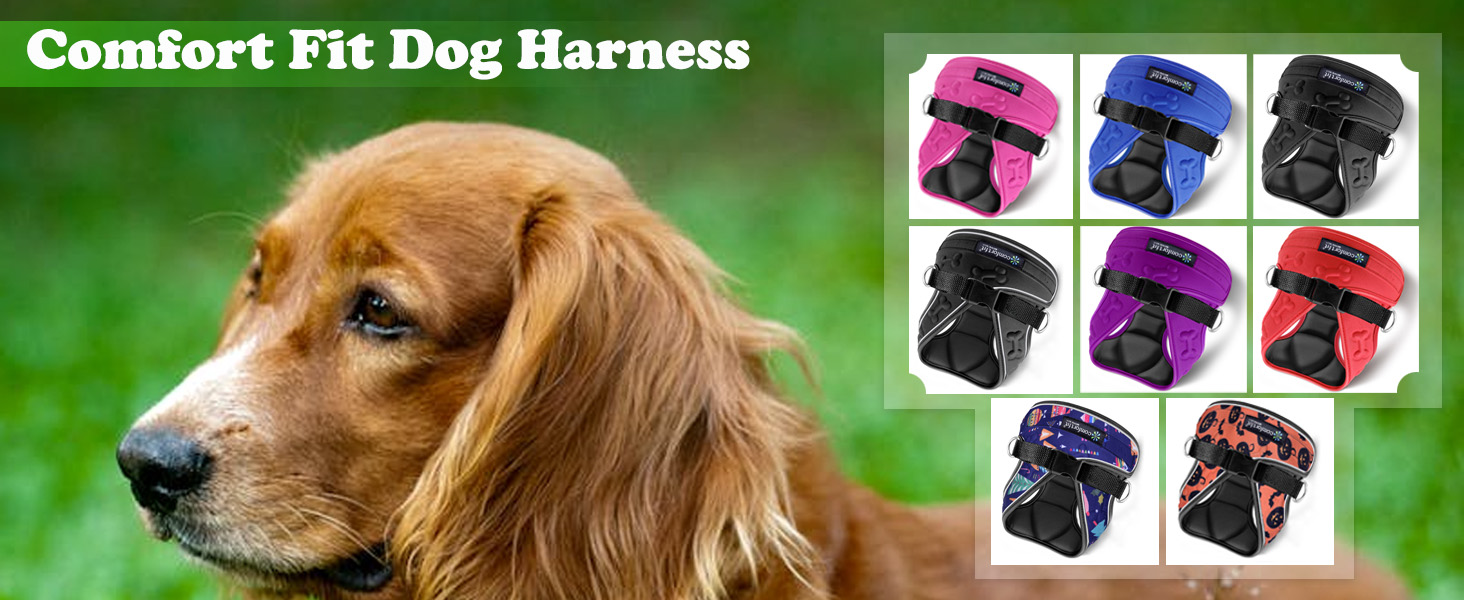 dog harness