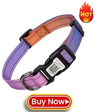 https://m.media-amazon.com/images/S/aplus-media-library-service-media/2ff367c6-6c07-48b4-bf25-c7fd74a210eb.__CR0,0,400,450_PT0_SX200_V1___.jpg