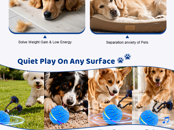 smart rolling dog ball