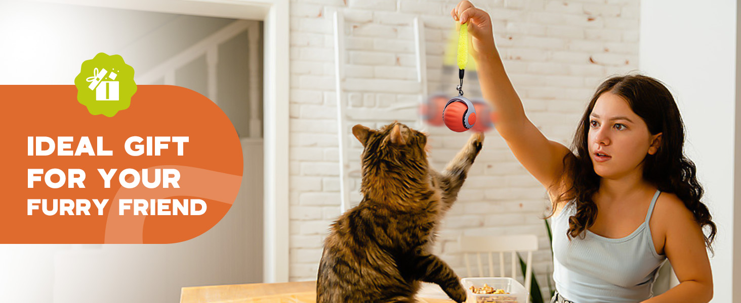 cat toy ball