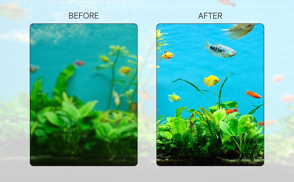 aquarium accessories for fish tank, saltwater aquarium accessories, fish tank glass scraper