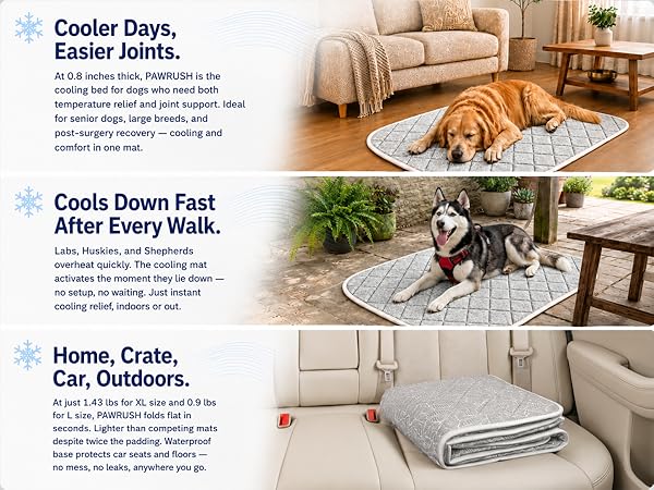 Cooling dog bed for older dogs and active dogs