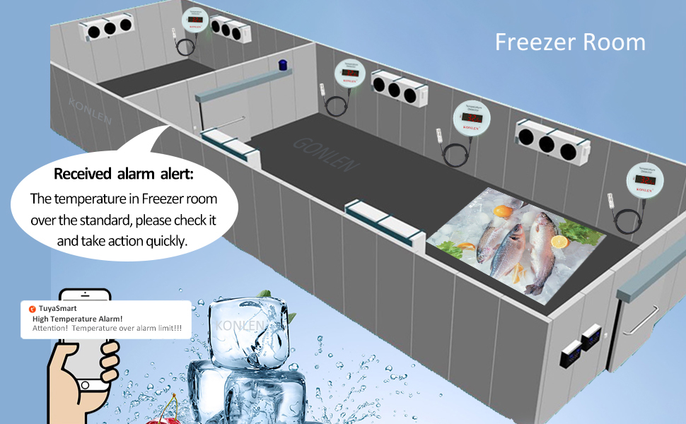 higher lower temperature limit alarm for Freezer Fridge room