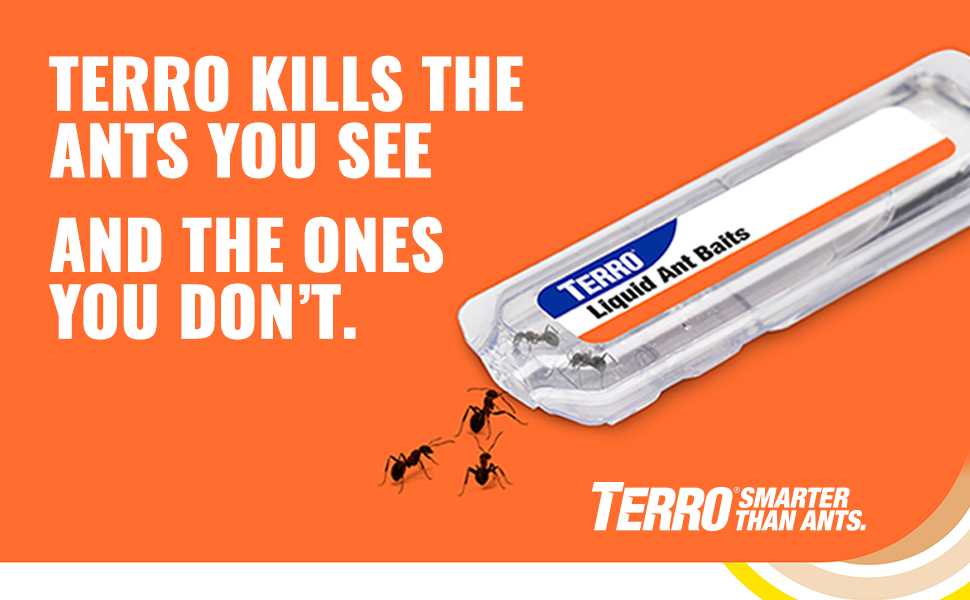 Terro Liquid Ant Baits kill the ants you see, and the ones you don't
