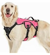 rabbitgoo Escape Proof Dog Harness, Soft Padded Full Body Pet Harness, Reflective Adjustable No P...