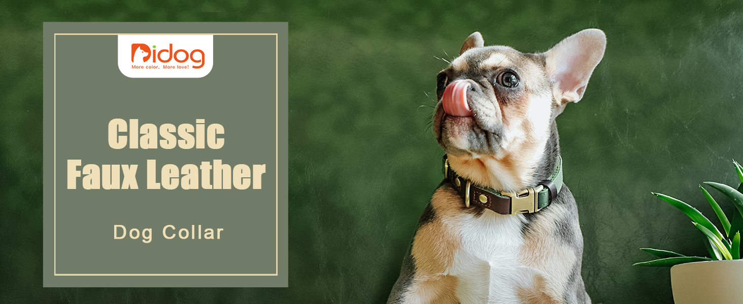 CP511 Leather dog collar