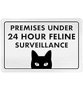 Funny Sign - 24 Hour Feline Surveillance 8" x 12" Humorous Metal Sign, Home & Cat Decor, Bundled ...