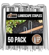 https://m.media-amazon.com/images/I/51UoBFn4q%2BL.__AC_SR200,225___.jpg
