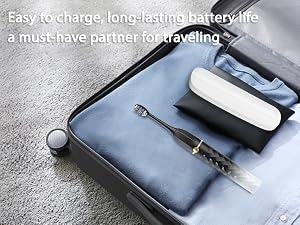 travel companion