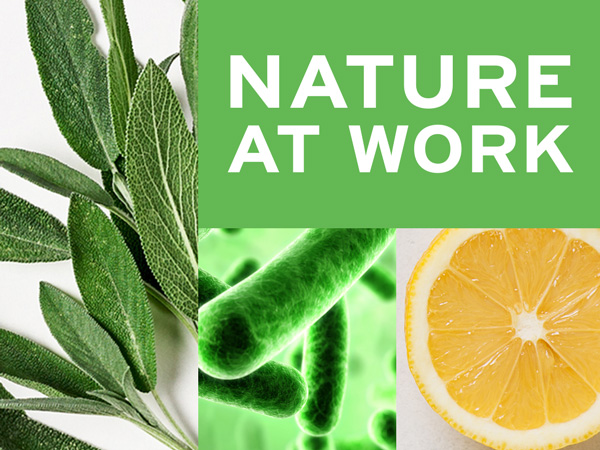 Nature at work