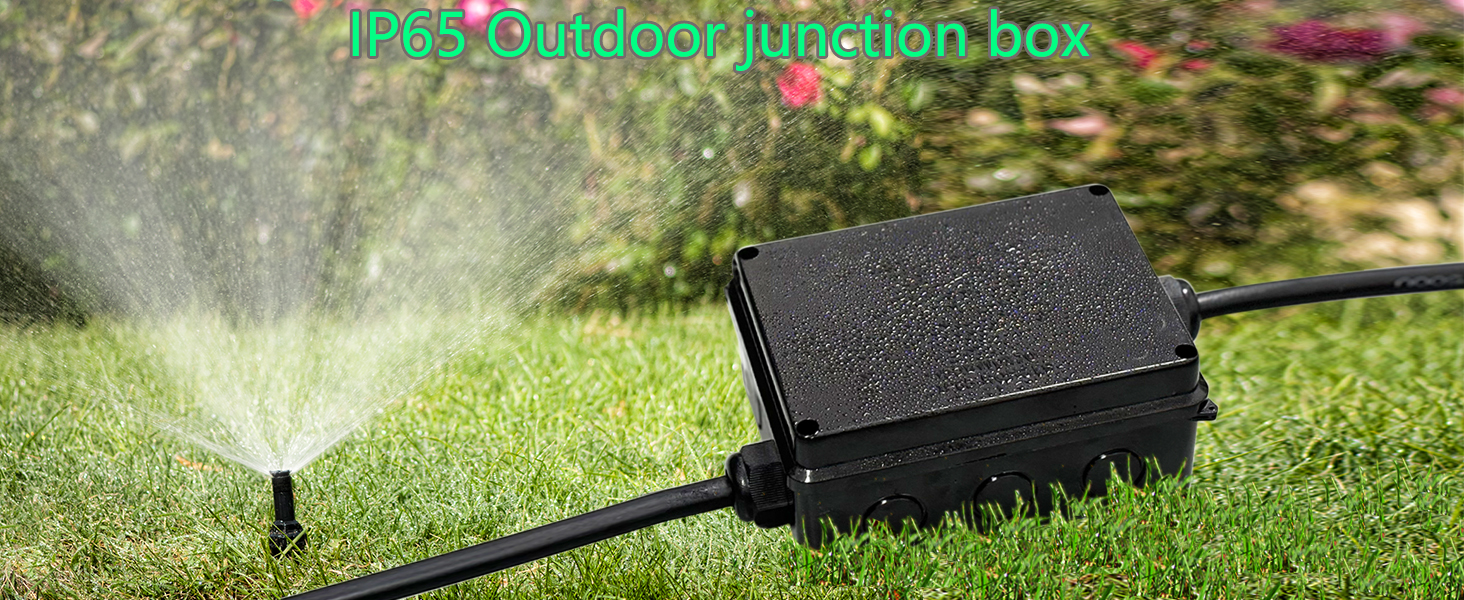 Clear Waterproof Box